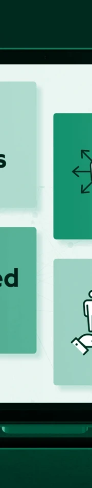 Software development